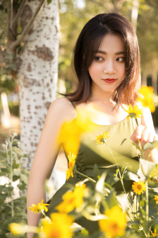 花翎飞盗